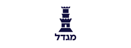 מגדל ביטוח